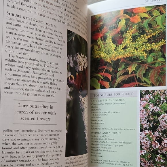 American Horticultural Society Practical Guides: Flowering Shrubs garden book - Picture 5 of 8